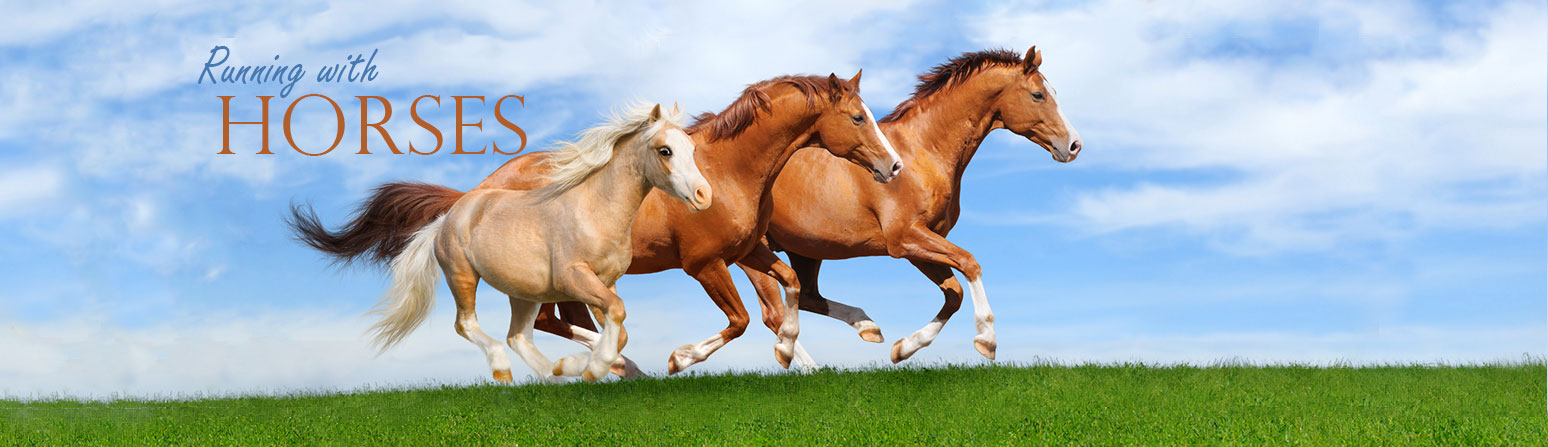 RWH-Banner_final
